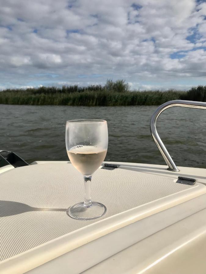 Bungalow Kleine Deichperle, Strand Und Deich In Unmittelbarer Naehe! Lemmer Zewnętrze zdjęcie